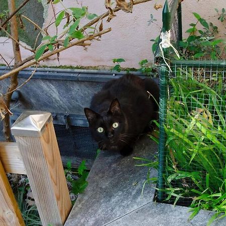 Un Insospettabile Angolo Verde In Citta Daire Milano Dış mekan fotoğraf